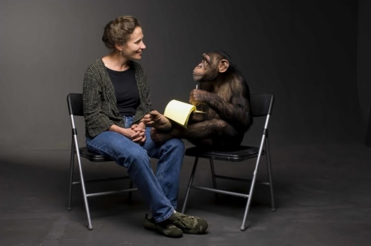 Episode 6: Jennifer Ackerman on the genius of birds