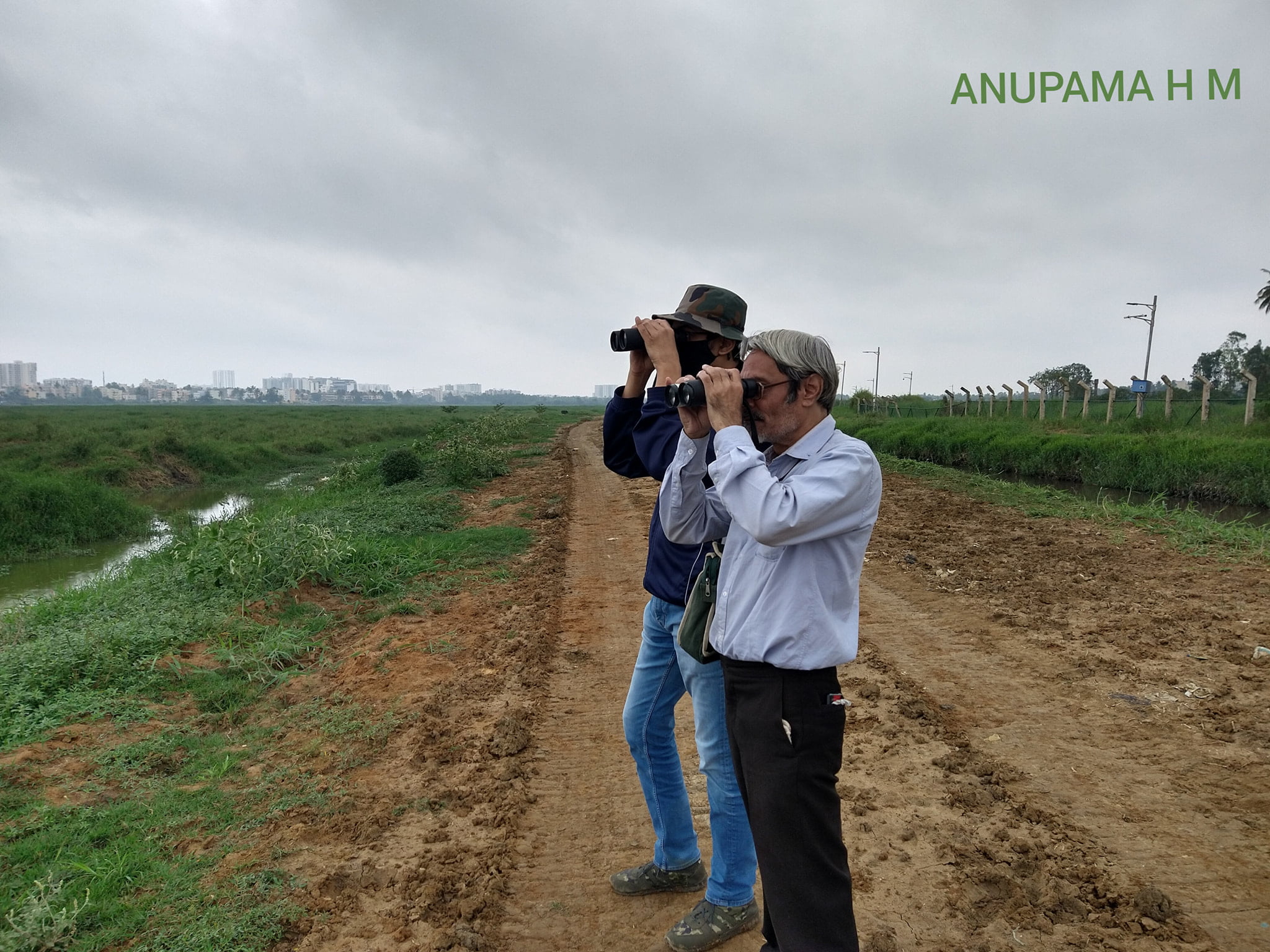 Episode 9: Bird Identification and Ecology with M. B. Krishna