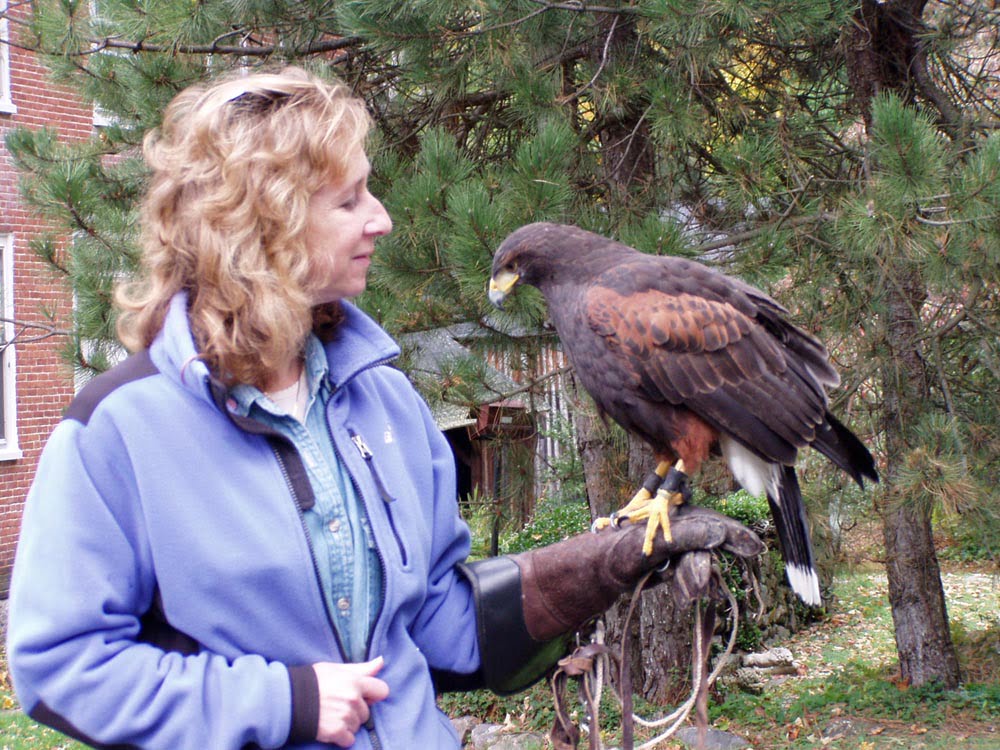 Episode 13: Birdology and the Hummingbird’s gift with Sy Montgomery