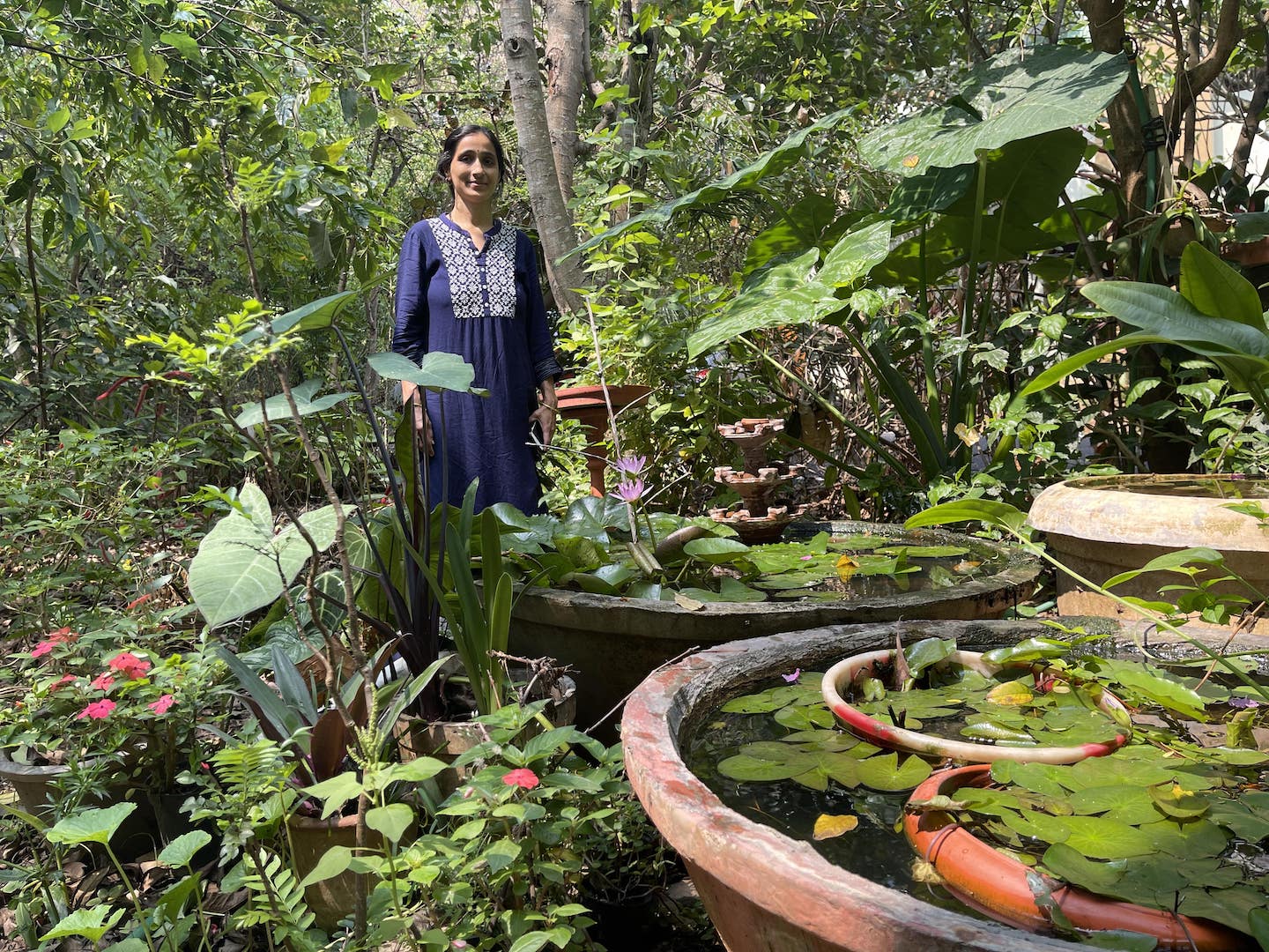 Episode 16: How to attract birds to your garden– with Shubha Bhat
