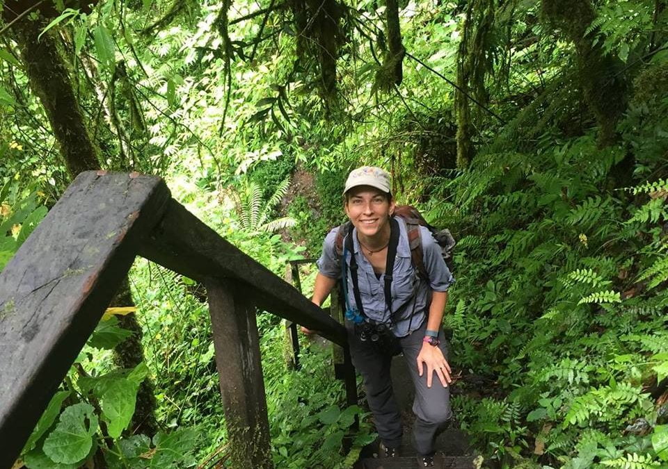 Episode 20: Breeding Behavior of the Lance Tailed Manakin of Panama with Emily DuVal