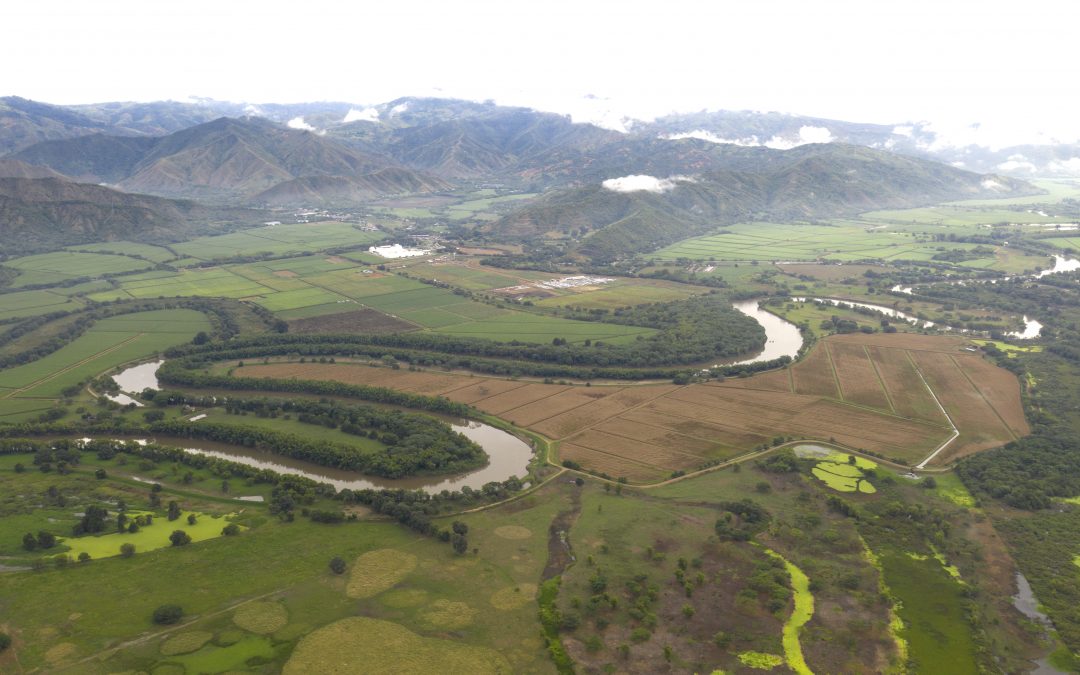Episode 26: How Audubon Americas is ramping up conservation